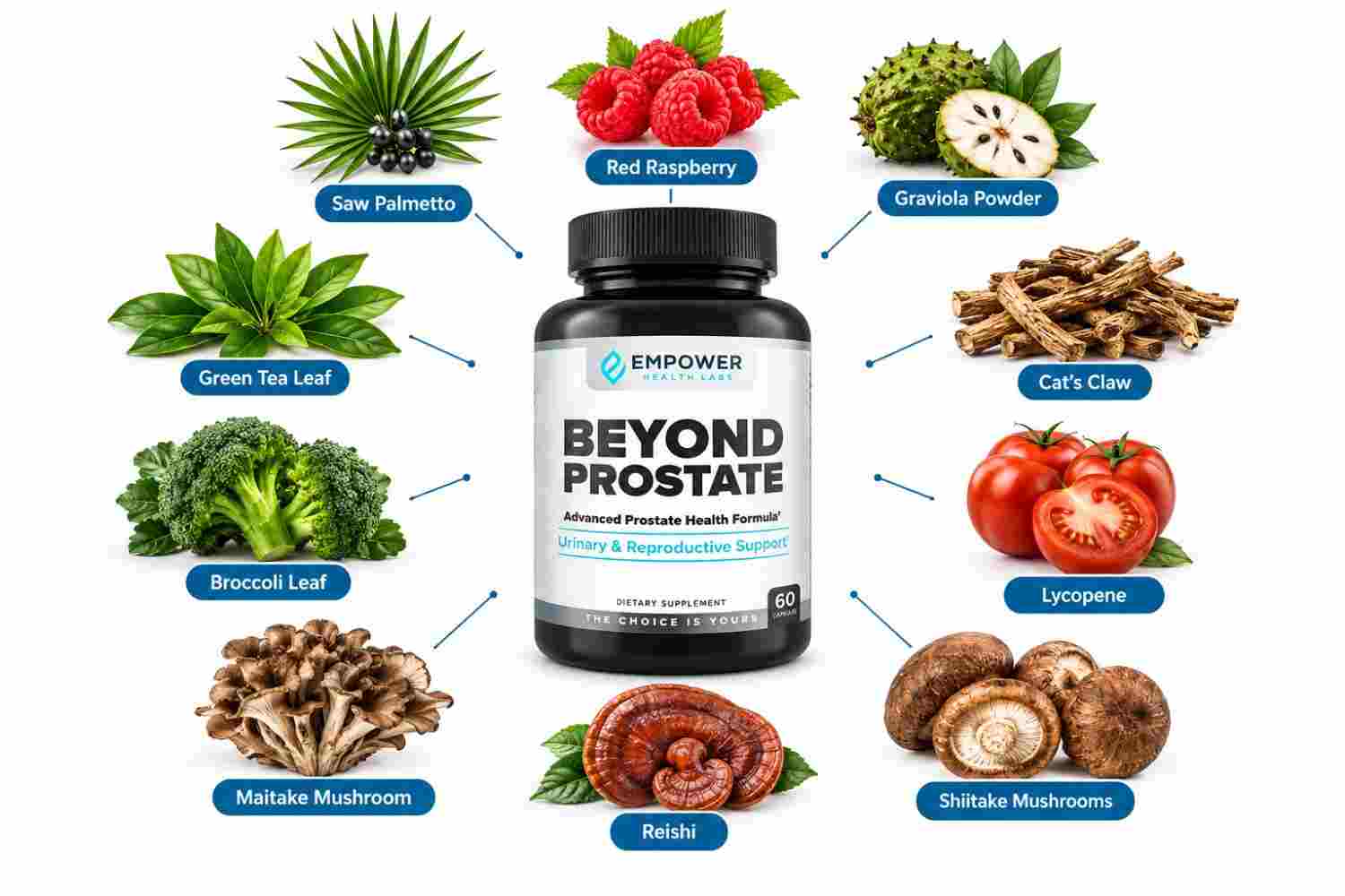 Beyond Prostate Ingredients